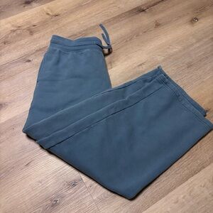 Aritzia Cozy Sweatfleece Perfect Banded Sweatpant Blue size medium